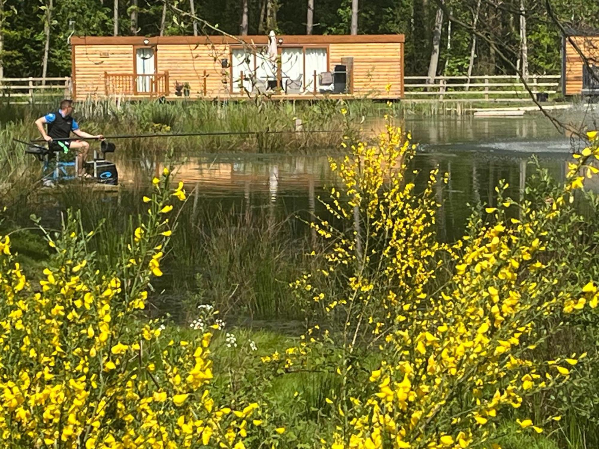 Oak Boutique Lodge Includes Hot Tub Air Con & Dog يورك المظهر الخارجي الصورة